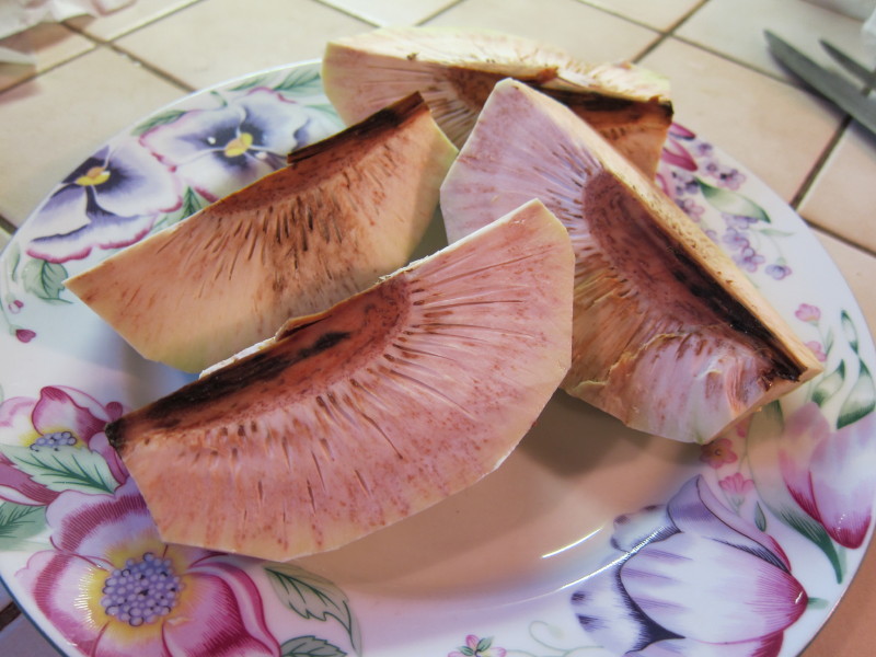 breadfruit_quarters
