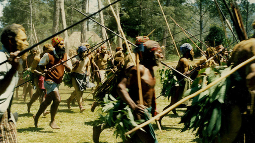 new guinea warfare