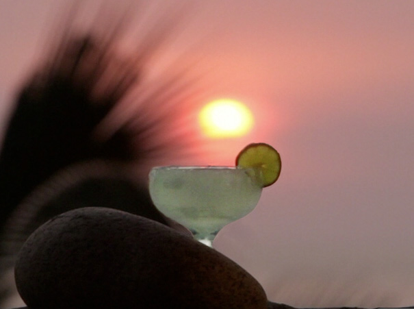 margarita_sunset